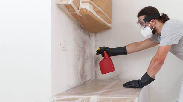 Professional Hvac And Air Duct Mold Remediation technician working in Kewadin, MI